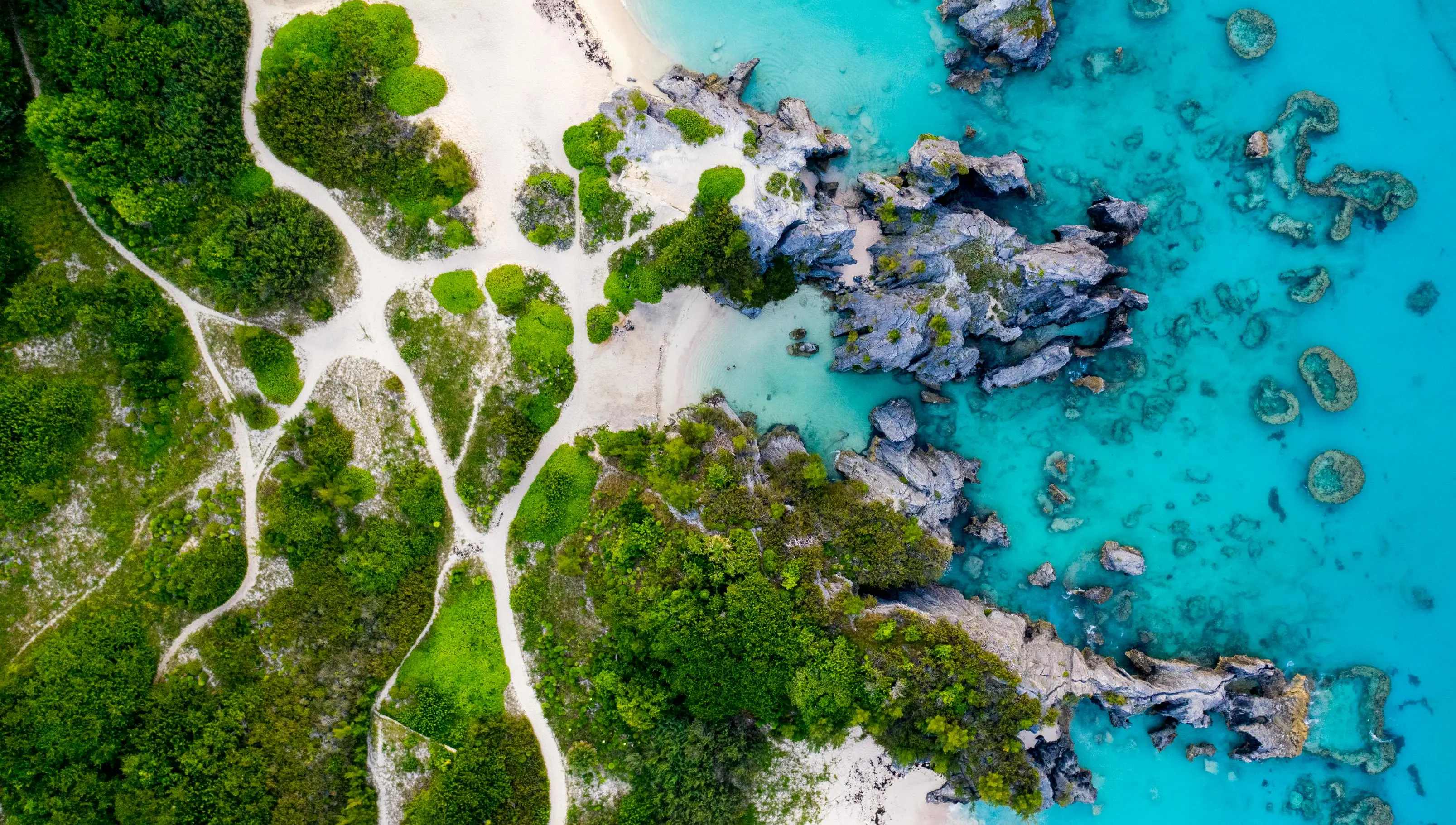 pexels-brandon-morrison-119560-6053556